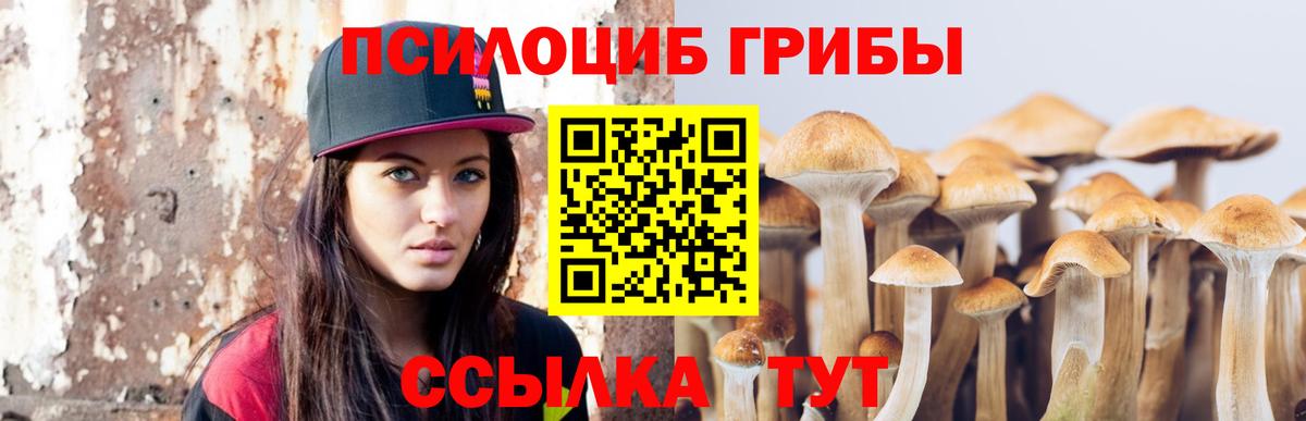 Санкт-Петербург  Псилоцибиновые грибы Psilocybine cubensis  Вход с VPN 